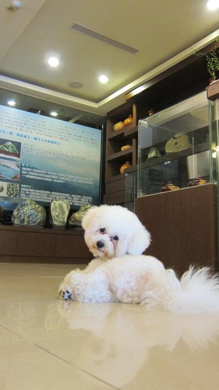 客至軒一館 Hualien City Ngoại thất bức ảnh